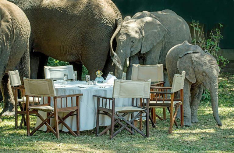 3-Day Serengeti Bush Dinner Safari