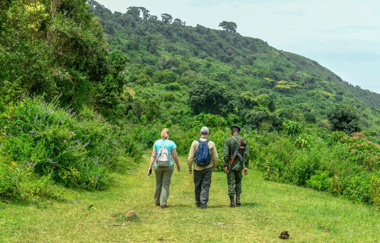 1-Day Arusha National Park Walking Safari