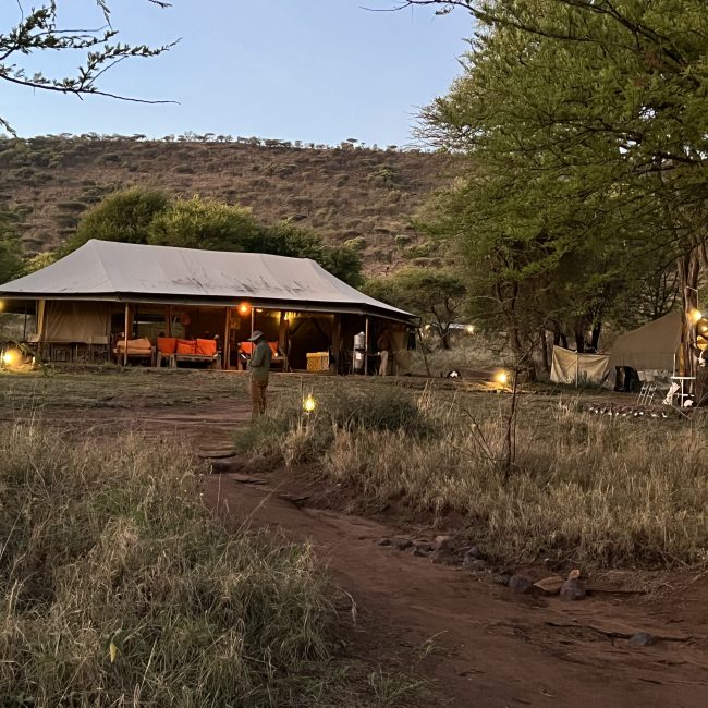 4 day tanzania lodge safari