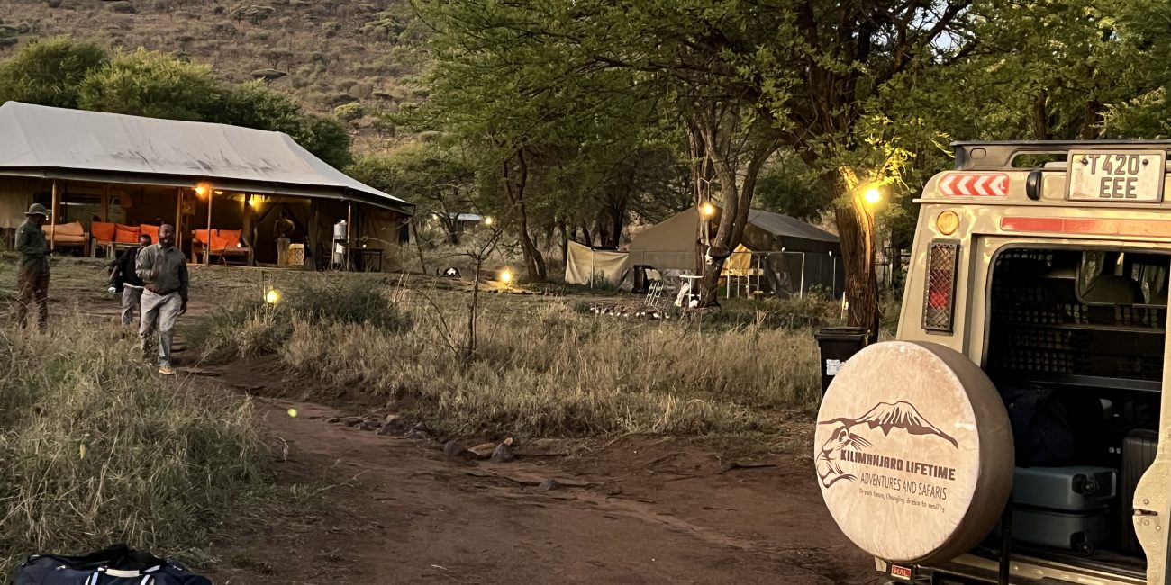 5 days tanzania lodge safari