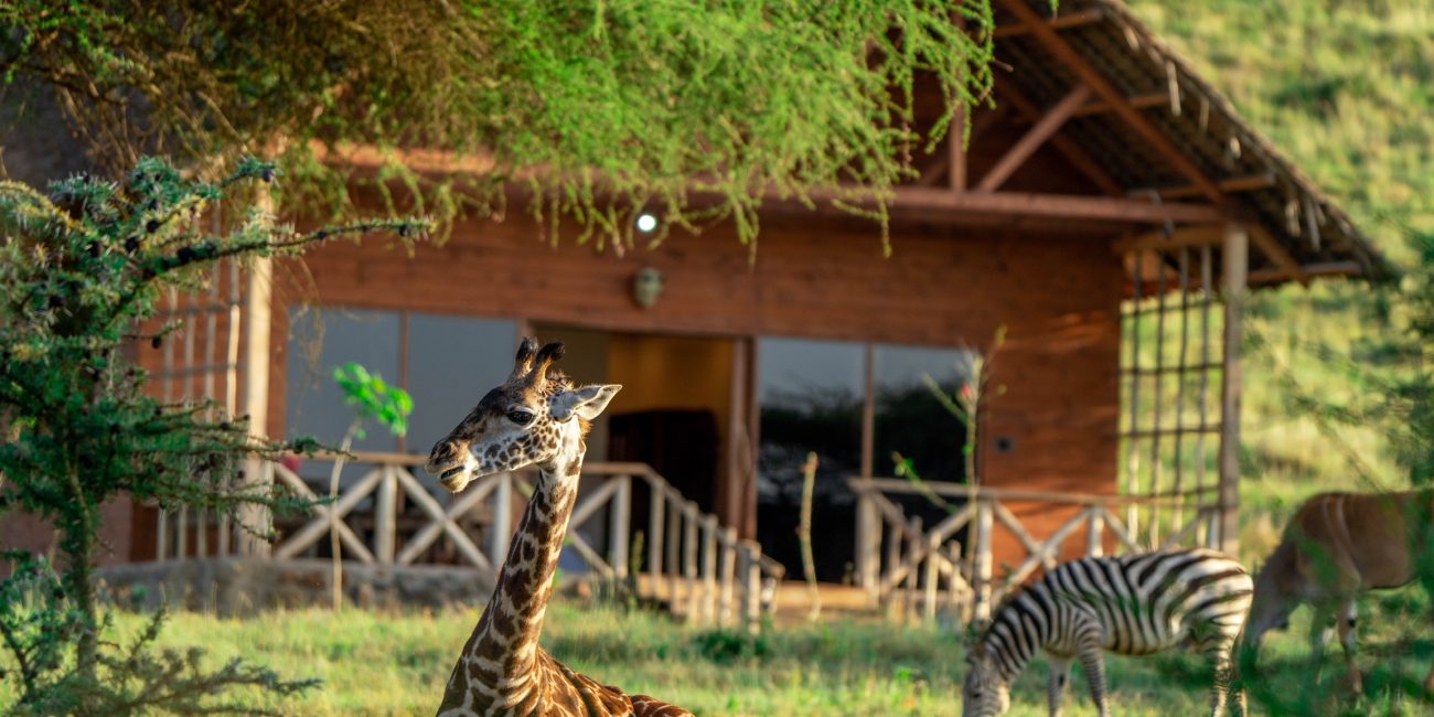 Serval Wildlife Trip from Zanzibar