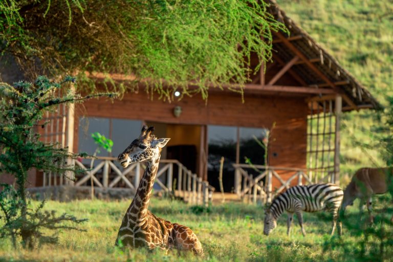 2-Day Serval Wildlife Park Tour from Moshi Or Arusha
