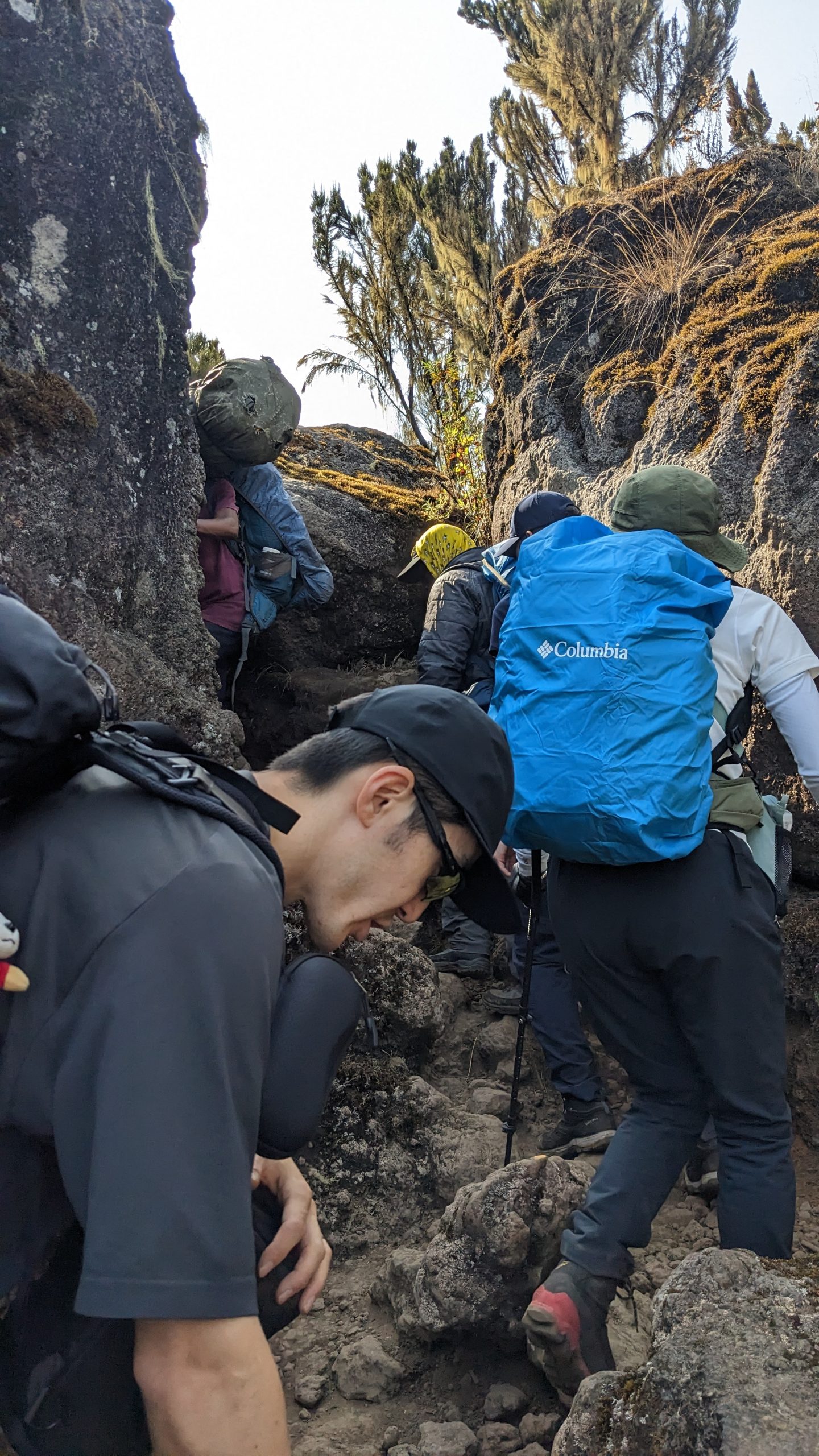 shira plateau day hike