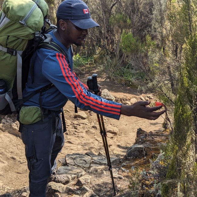 shira plateau day hiking