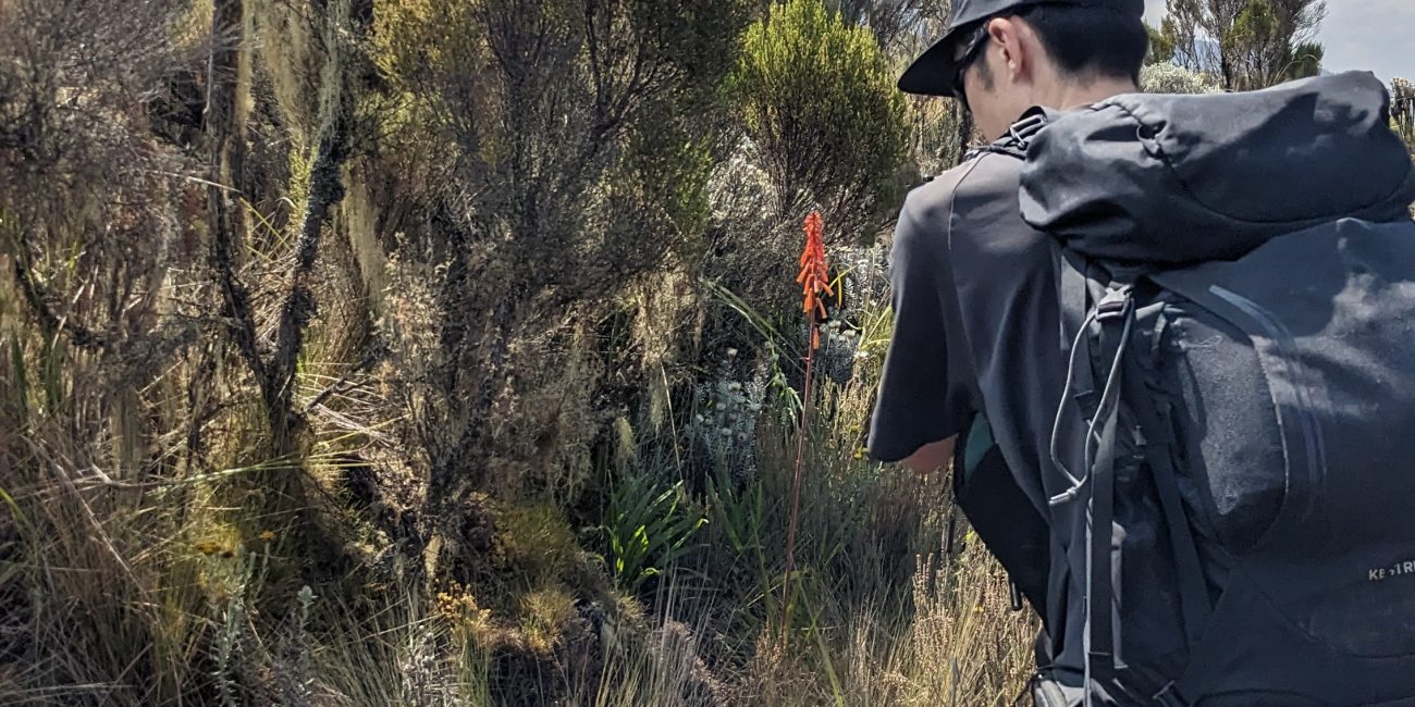 1 Day Kilimanjaro Machame route Day Hike