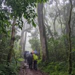 How long does it take to descend mount kilimanjaro?