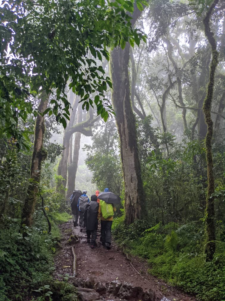 How long does it take to descend mount kilimanjaro?