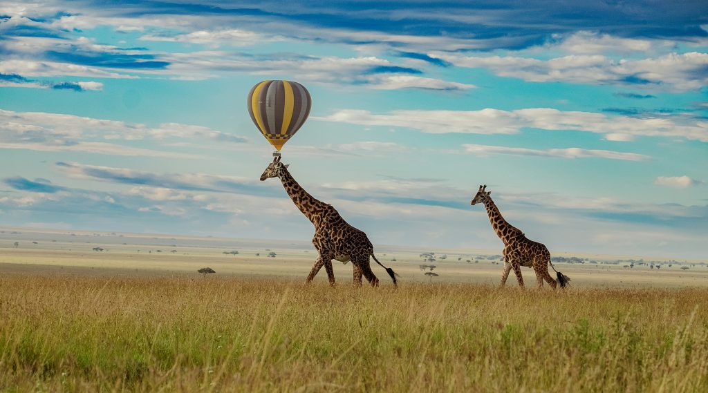 Hot Air Balloon Safari in serengeti