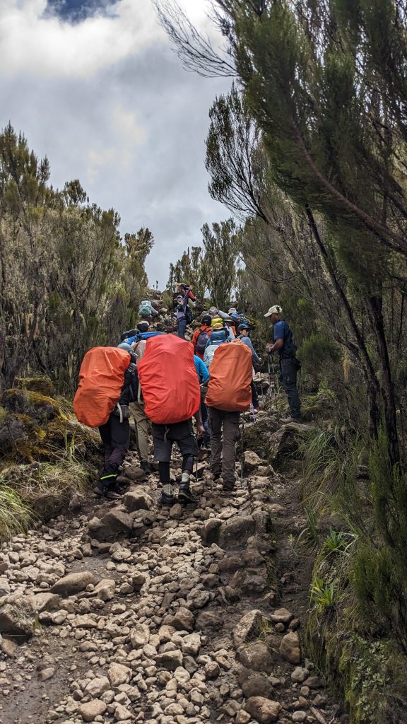 Machame Route Kilimanjaro Altitude