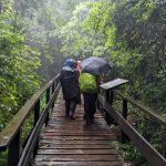 Marangu Route Kilimanjaro Altitude