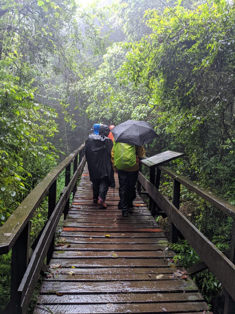 Marangu Route Kilimanjaro Altitude