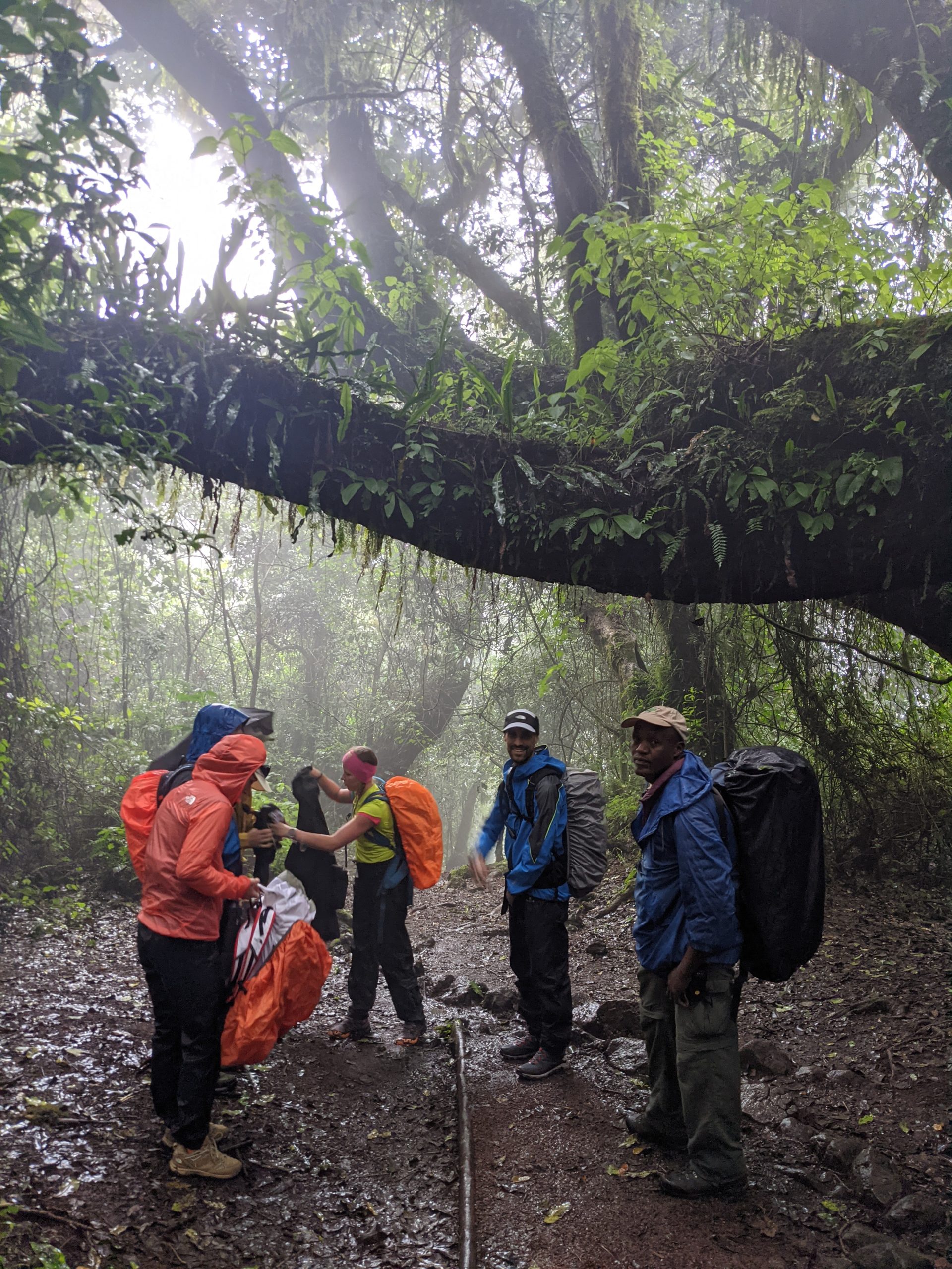 Affordable Kilimanjaro Trekking Packages