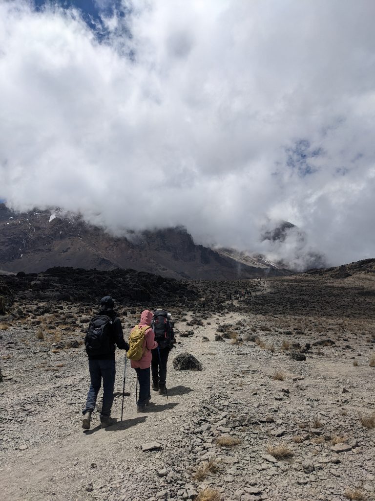Kilimanjaro Climb Success Rates by Route