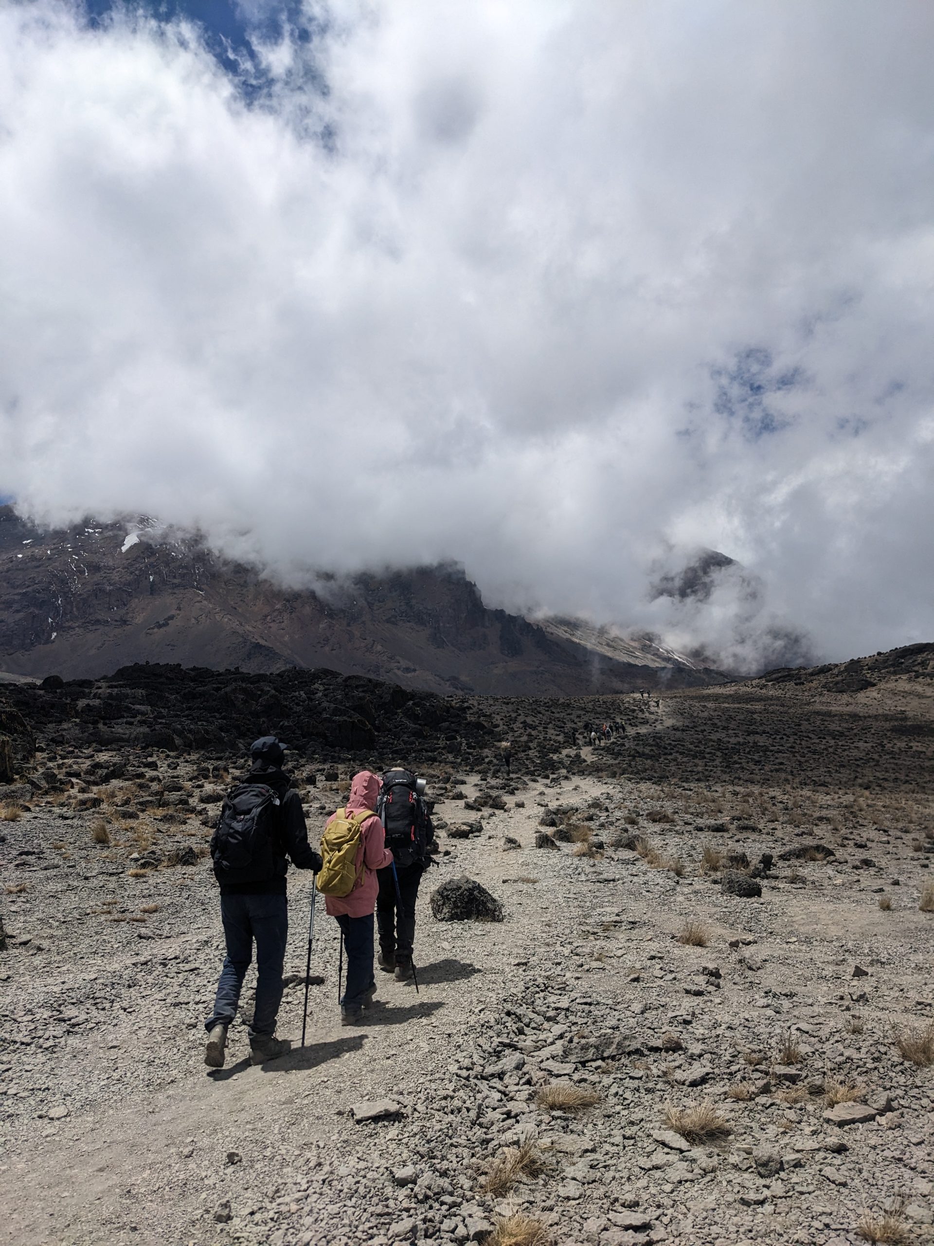 Kilimanjaro Climb Success Rates by Route