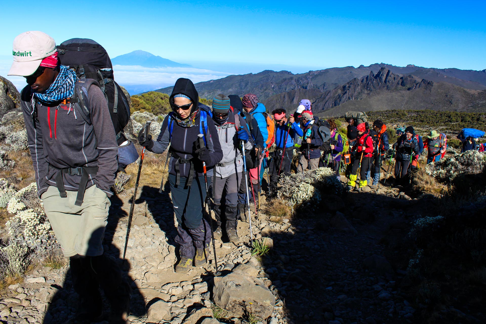 Kilimanjaro Guided Climbs
