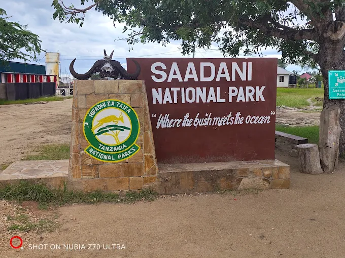 Saadani National Park