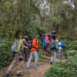 Machame vs Lemosho vs Marangu Route