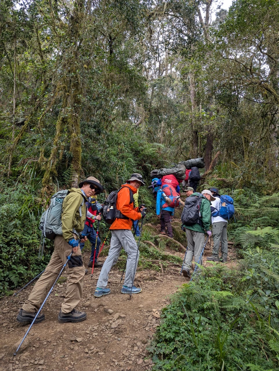 Machame vs Lemosho vs Marangu Route