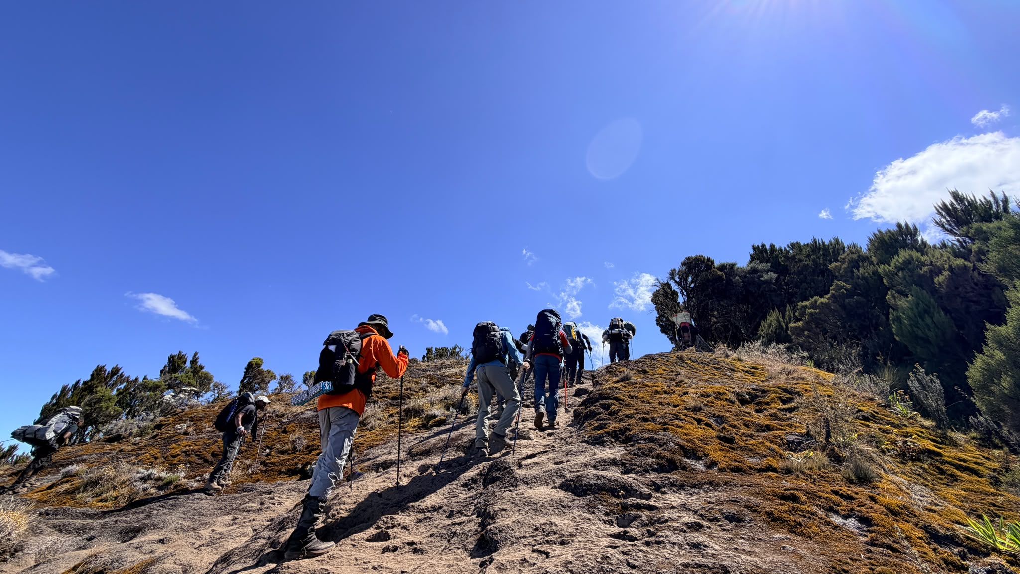 Kilimanjaro Climbing Packages — Your Gateway to Africa's Rooftop