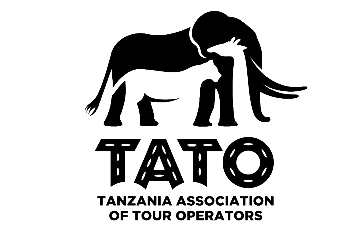 Kilimanjaro Lifetime Adventures TATO